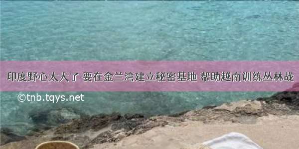 印度野心太大了 要在金兰湾建立秘密基地 帮助越南训练丛林战