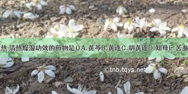 具有退虚热 清热燥湿功效的药物是()A.黄芩B.黄连C.胡黄连D.知母E.苦参ABCDE