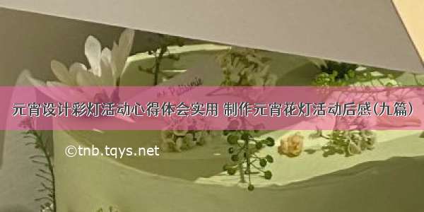 元宵设计彩灯活动心得体会实用 制作元宵花灯活动后感(九篇)