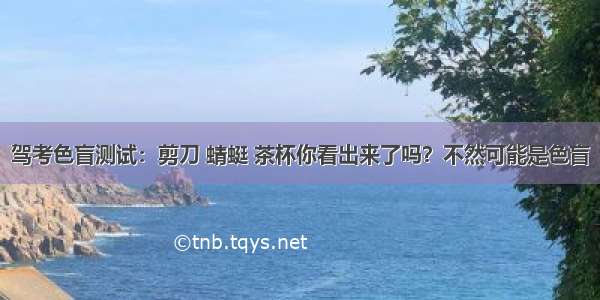 驾考色盲测试：剪刀 蜻蜓 茶杯你看出来了吗？不然可能是色盲