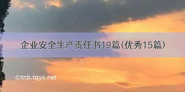 企业安全生产责任书19篇(优秀15篇)