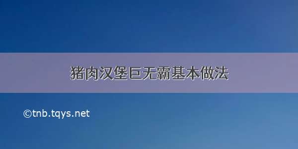 猪肉汉堡巨无霸基本做法