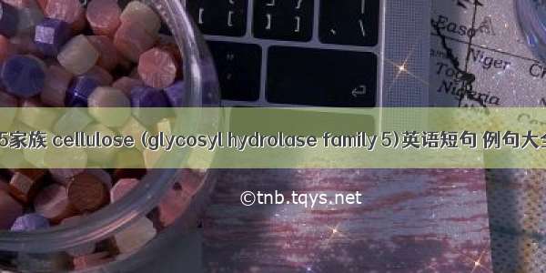 GHF5家族 cellulose (glycosyl hydrolase family 5)英语短句 例句大全