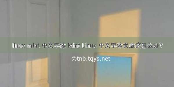 linux mint 中文字体 Mint Linux 中文字体发虚该怎么办？