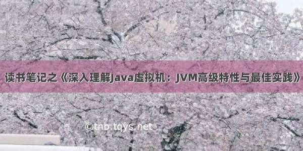 读书笔记之《深入理解Java虚拟机：JVM高级特性与最佳实践》