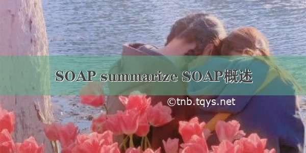 SOAP summarize SOAP概述