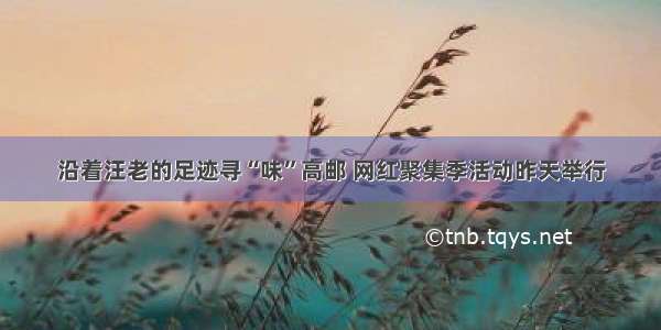 沿着汪老的足迹寻“味”高邮 网红聚集季活动昨天举行