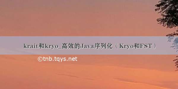 krait和kryo_高效的Java序列化（Kryo和FST）