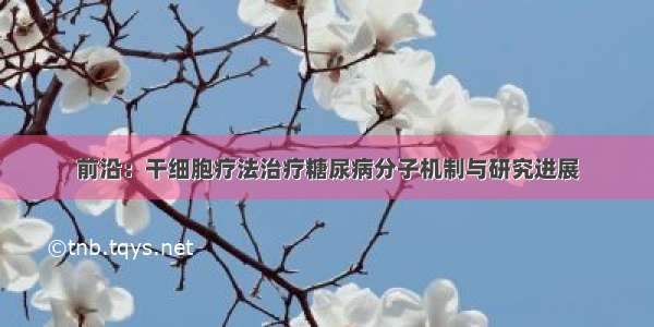 前沿：干细胞疗法治疗糖尿病分子机制与研究进展