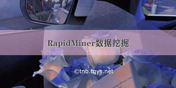 RapidMiner数据挖掘