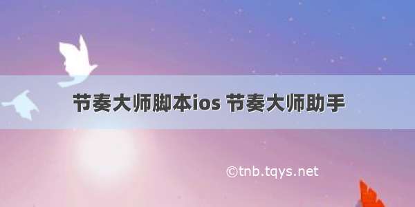 节奏大师脚本ios 节奏大师助手