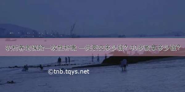 农村养老保险一次性补缴 一共要交多少钱？60岁能拿多少钱？