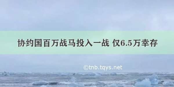 协约国百万战马投入一战 仅6.5万幸存