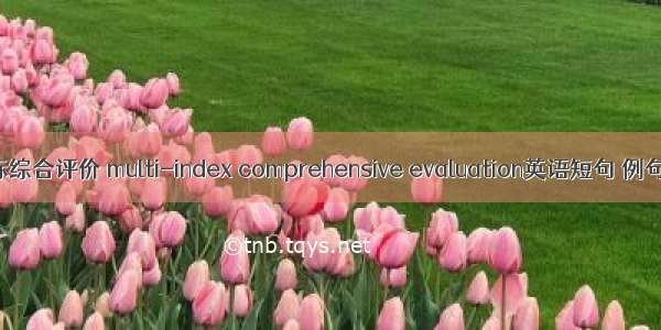 多指标综合评价 multi-index comprehensive evaluation英语短句 例句大全