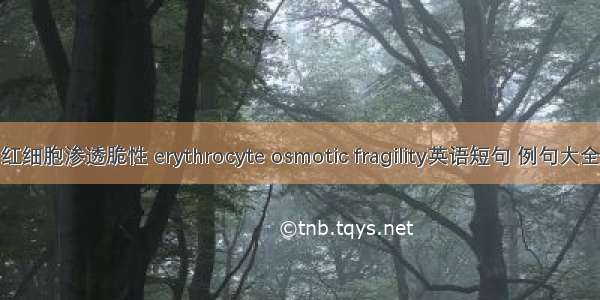 红细胞渗透脆性 erythrocyte osmotic fragility英语短句 例句大全