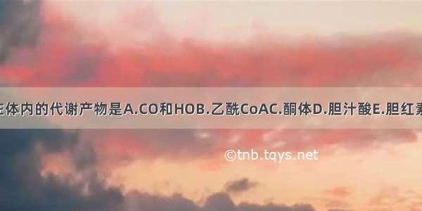 胆固醇在体内的代谢产物是A.CO和HOB.乙酰CoAC.酮体D.胆汁酸E.胆红素ABCDE