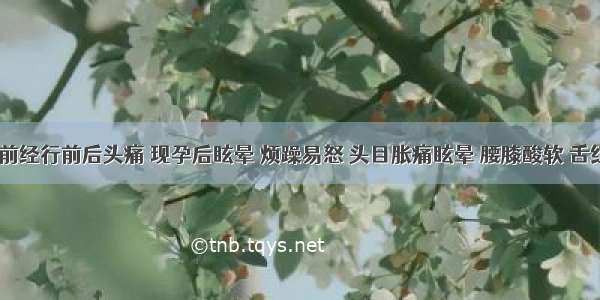 病人孕前经行前后头痛 现孕后眩晕 烦躁易怒 头目胀痛眩晕 腰膝酸软 舌红 脉弦。