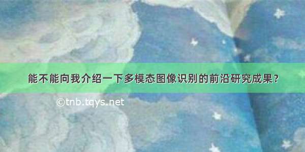 能不能向我介绍一下多模态图像识别的前沿研究成果？