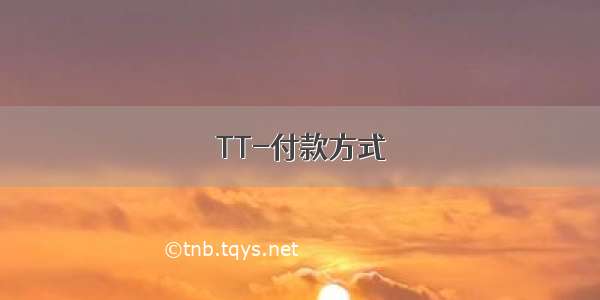 TT-付款方式