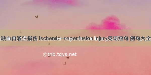 肠缺血再灌注损伤 Ischemia-reperfusion injury英语短句 例句大全