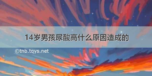 14岁男孩尿酸高什么原因造成的