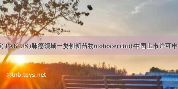 武田制药(TAK.US)肺癌领域一类创新药物mobocertinib中国上市许可申请获受理