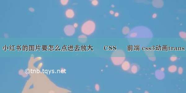 小红书的图片要怎么点进去放大 – CSS – 前端 css3动画trans