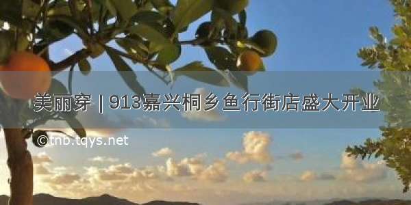 美丽穿 | 913嘉兴桐乡鱼行街店盛大开业