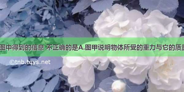 单选题从图中得到的信息 不正确的是A.图甲说明物体所受的重力与它的质量成正比B