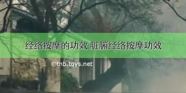 经络按摩的功效 脏腑经络按摩功效