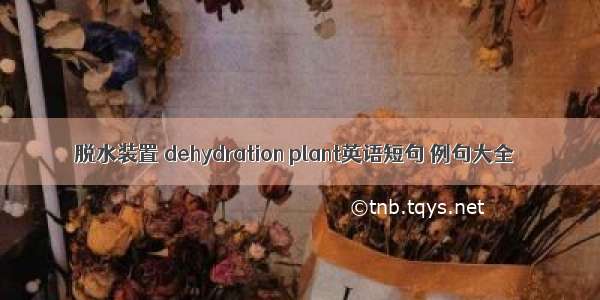 脱水装置 dehydration plant英语短句 例句大全