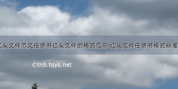 公司任职红头文件范文任命书红头文件的格式汇总 红头文件任命书格式标准样板(六篇)