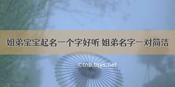 姐弟宝宝起名一个字好听 姐弟名字一对简洁