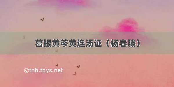 葛根黄芩黄连汤证（杨春滕）