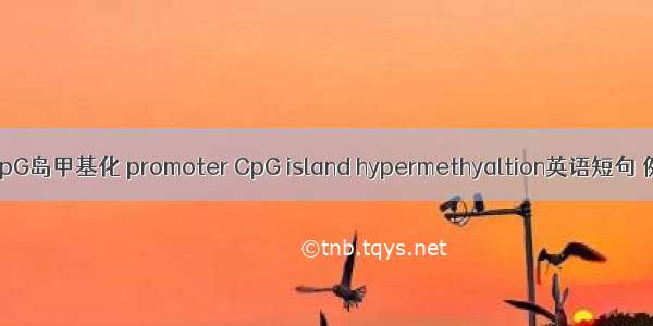 启动子CpG岛甲基化 promoter CpG island hypermethyaltion英语短句 例句大全