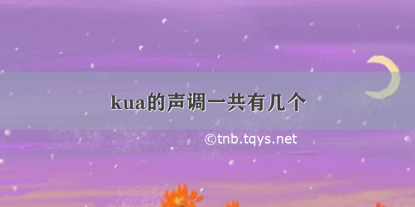 kua的声调一共有几个