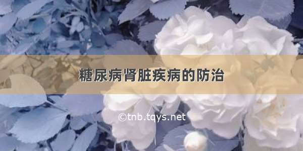 糖尿病肾脏疾病的防治