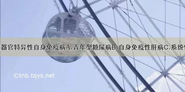 下述哪项不属器官特异性自身免疫病A.青年型糖尿病B.自身免疫性肝病C.系统性红斑狼疮D.