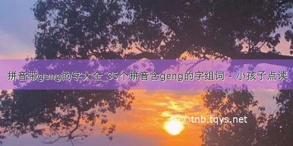 拼音带geng的字大全_35个拼音含geng的字组词 - 小孩子点读