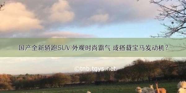 国产全新轿跑SUV 外观时尚霸气 或搭载宝马发动机？