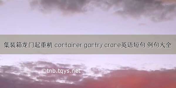 集装箱龙门起重机 container gantry crane英语短句 例句大全