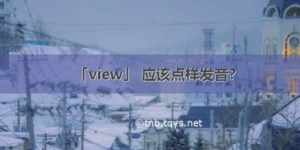 「view」 应该点样发音?