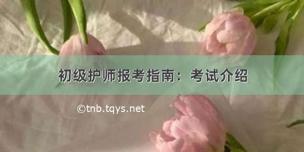 初级护师报考指南：考试介绍