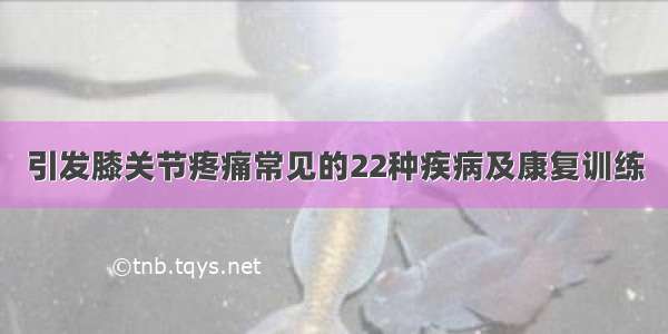 引发膝关节疼痛常见的22种疾病及康复训练