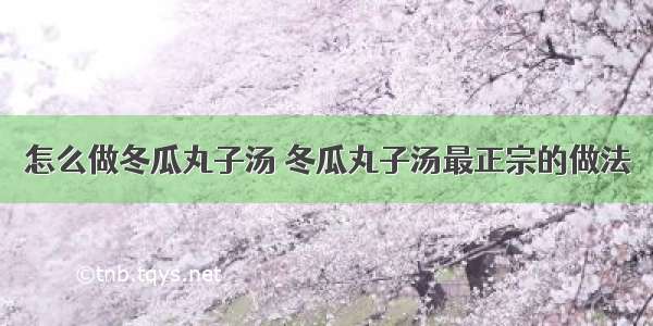 怎么做冬瓜丸子汤 冬瓜丸子汤最正宗的做法