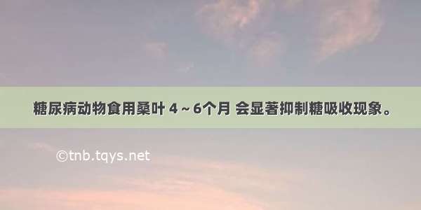 糖尿病动物食用桑叶 4～6个月 会显著抑制糖吸收现象。