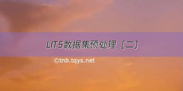 LITS数据集预处理（二）