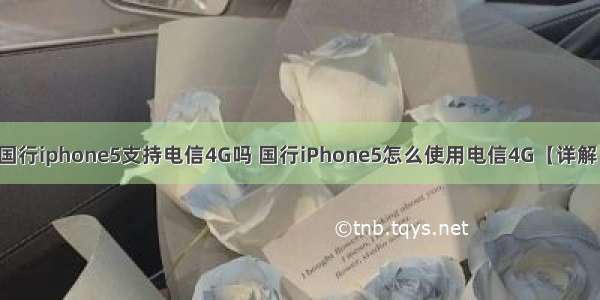 国行iphone5支持电信4G吗 国行iPhone5怎么使用电信4G【详解】