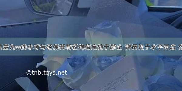 如图所示 质量为m的小球与轻弹簧和轻绳相连处于静止 弹簧处于水平状态 劲度系数为k