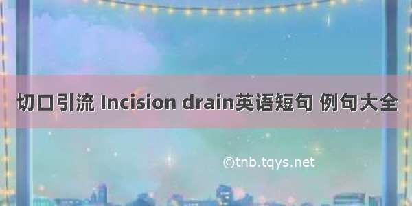 切口引流 Incision drain英语短句 例句大全